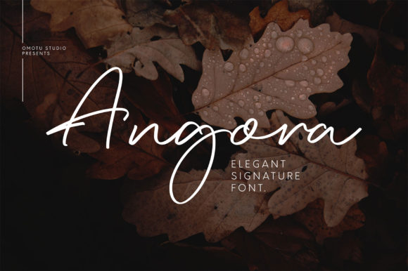 Angora: The Perfect Script Handwritten Font for Editorial Design