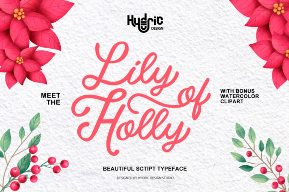 Elevate Your Brand with Lily of Holy Font