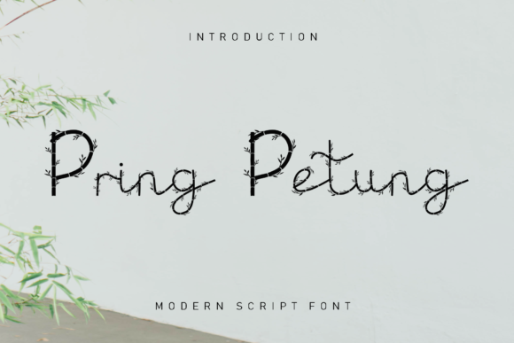 Pring Petung: A Stylish Decorative Font for Elegant Branding