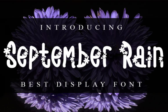 September Rain: A Versatile Decorative Font for Web Design